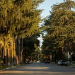 Bail Bonds La Verne